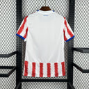 Maillot Paraguay Coupe du monde 2026