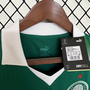Palmeiras Domicile 24/25