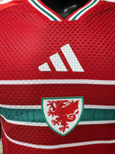 Wales version joueur 26/27